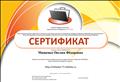 Сертификат участника профессионального педагогического сообщества "НЕТФОЛИО"